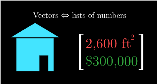 vector_ perspective